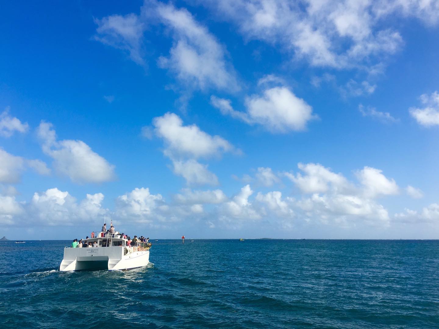 59286207_2381857331844756_719398341951094784_o