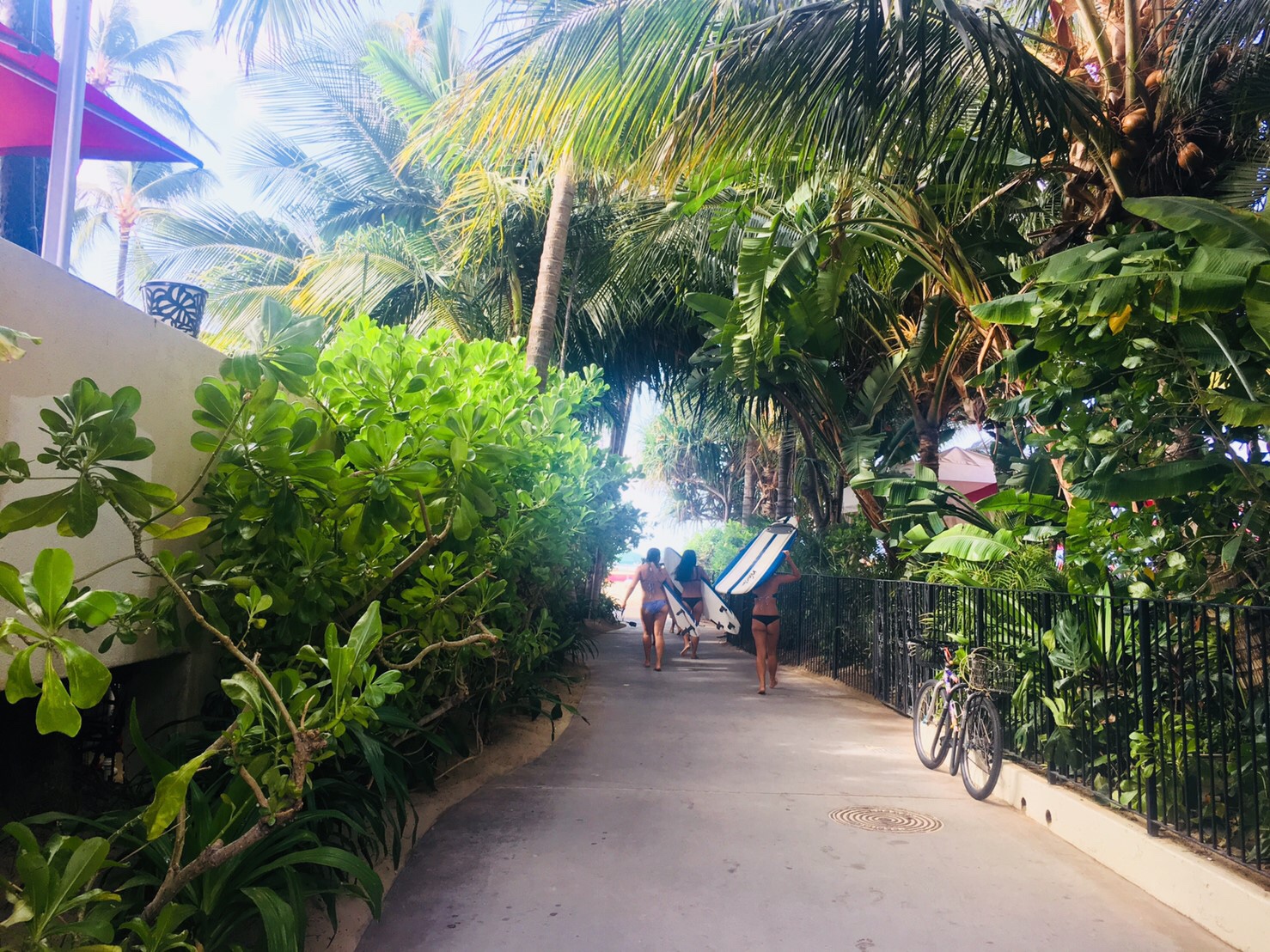 CC471441-EDC0-486F-9EA3-57F773B83C3F