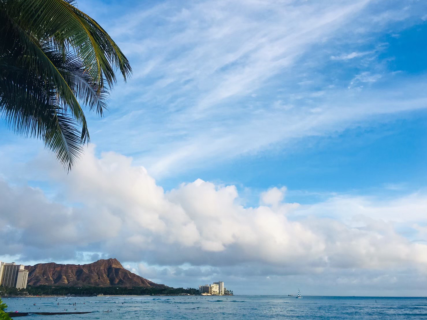 446D2914-4143-4C74-8CCC-76A618B0E687