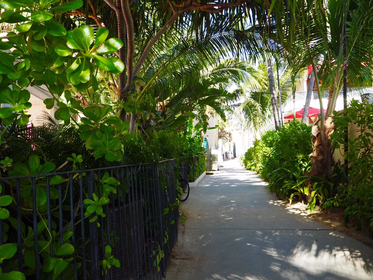 9578DEEC-8545-47C2-B574-2B0EBF5D87D9