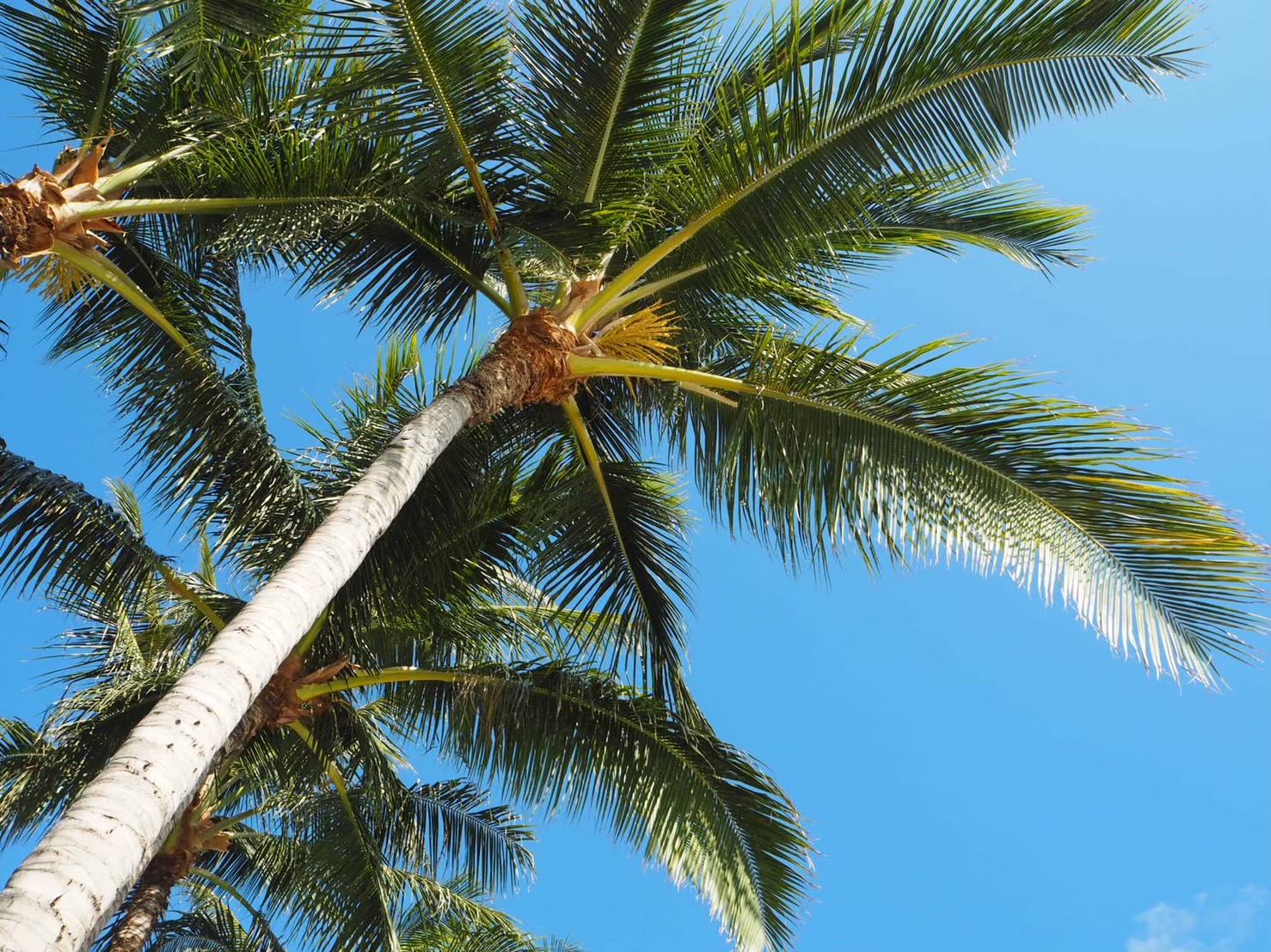 EB4C67BC-22B0-45D5-9DF3-F083435F078D