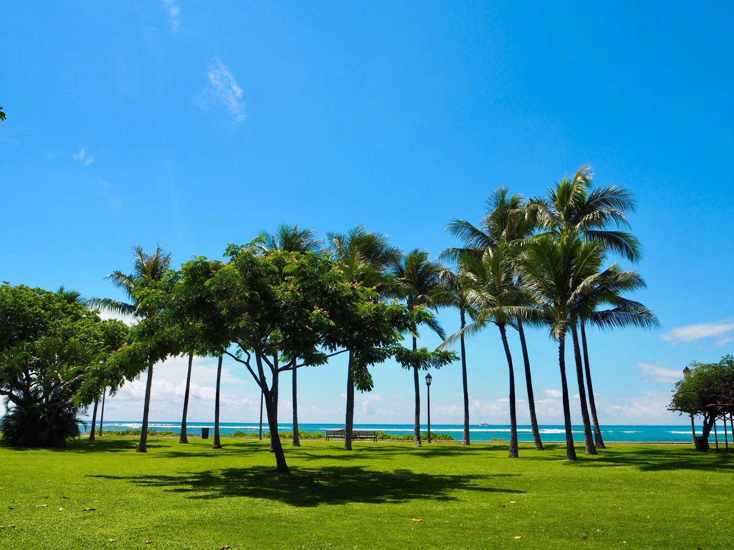 EB675915-5D62-479E-ABC3-29E55F8408B5