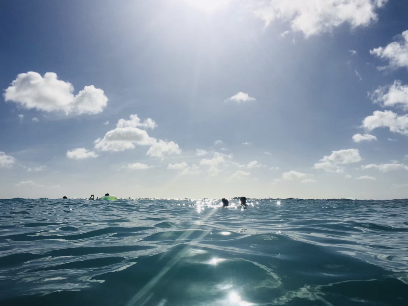 8E5C8C6A-18BD-43DE-9AAC-61648A4B2377