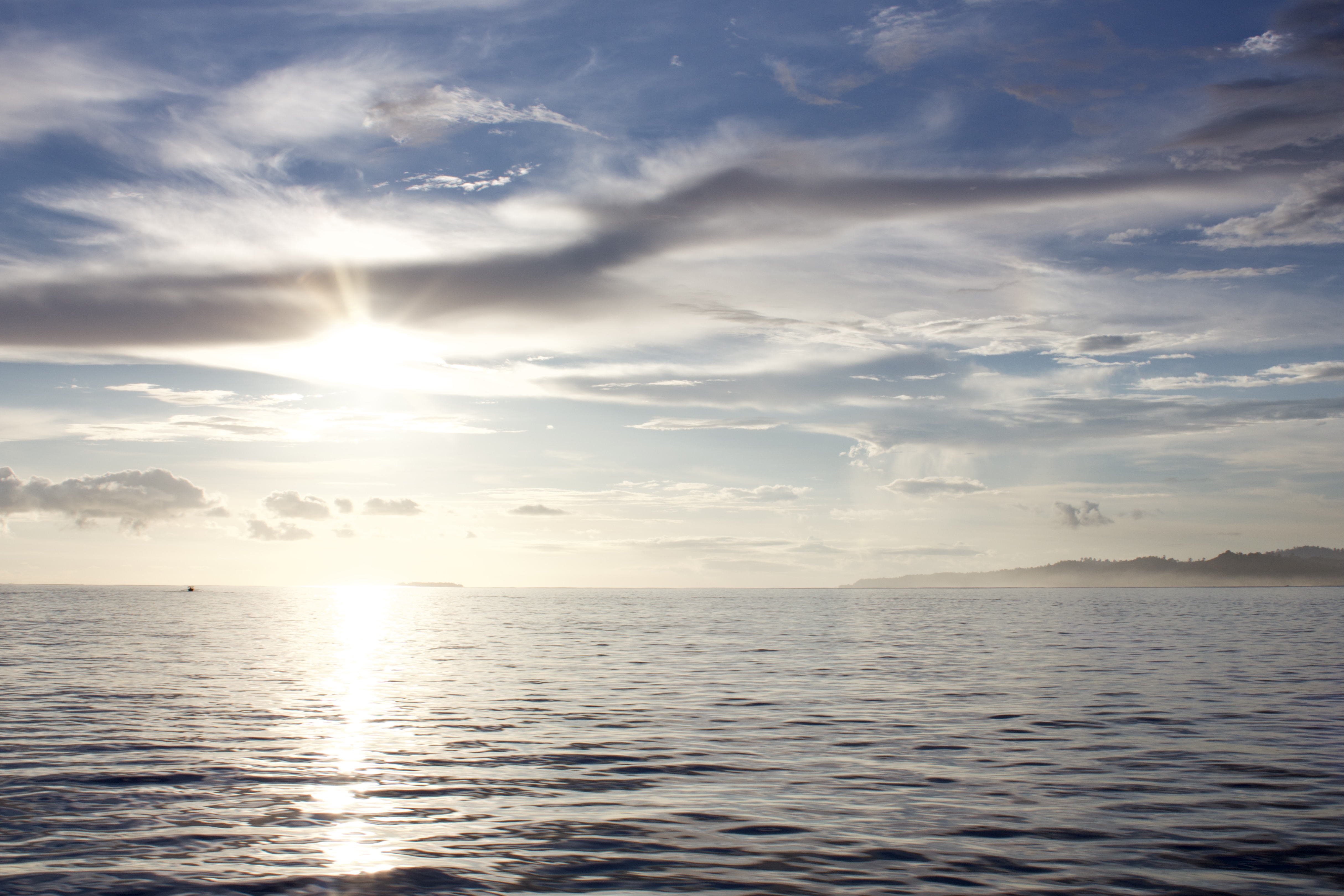 137D6FFB-0C8D-4CF6-8E13-11994FE25774