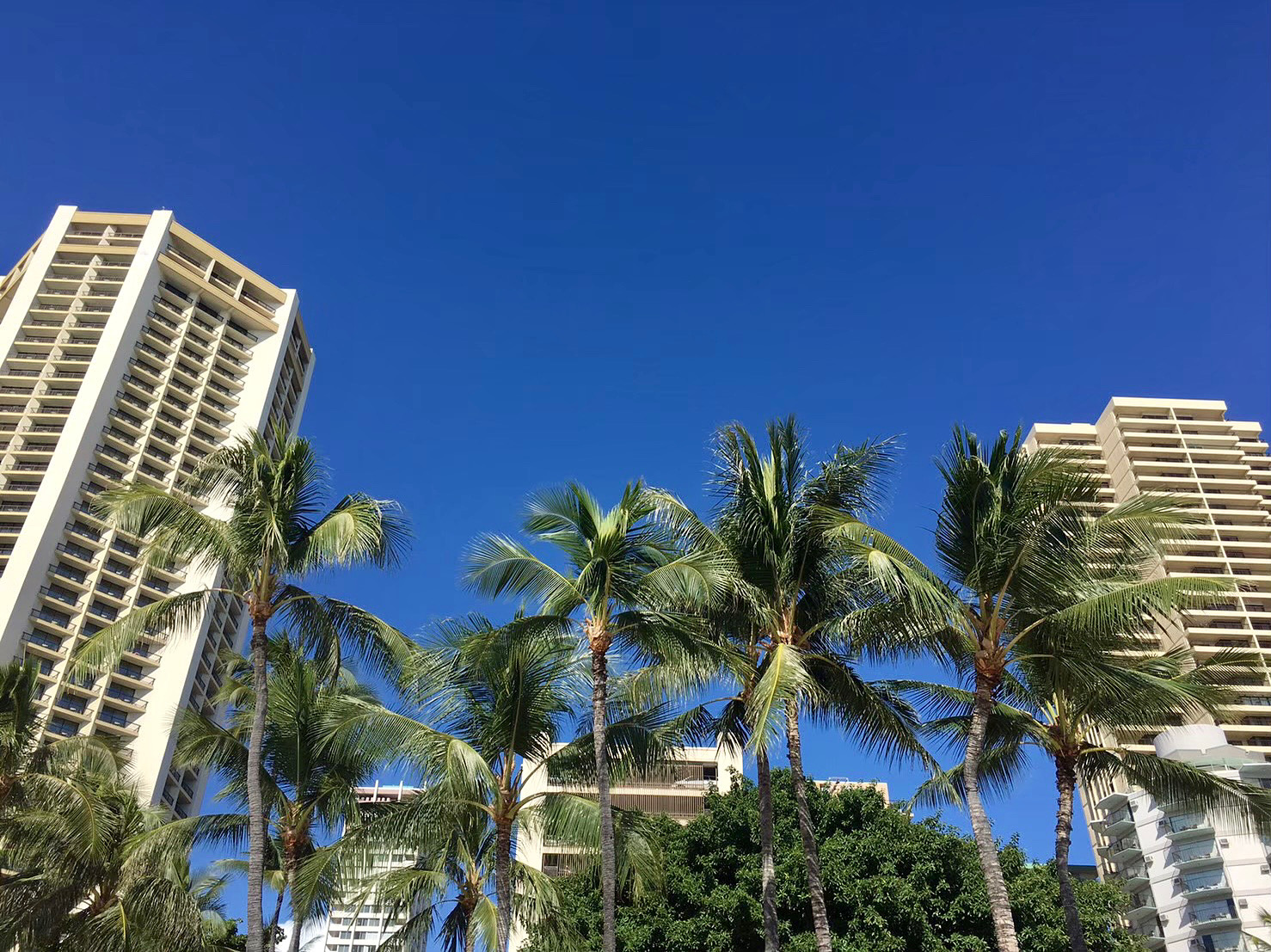 3F54BE9E-1D33-4D9F-8E7C-2959C4232B12