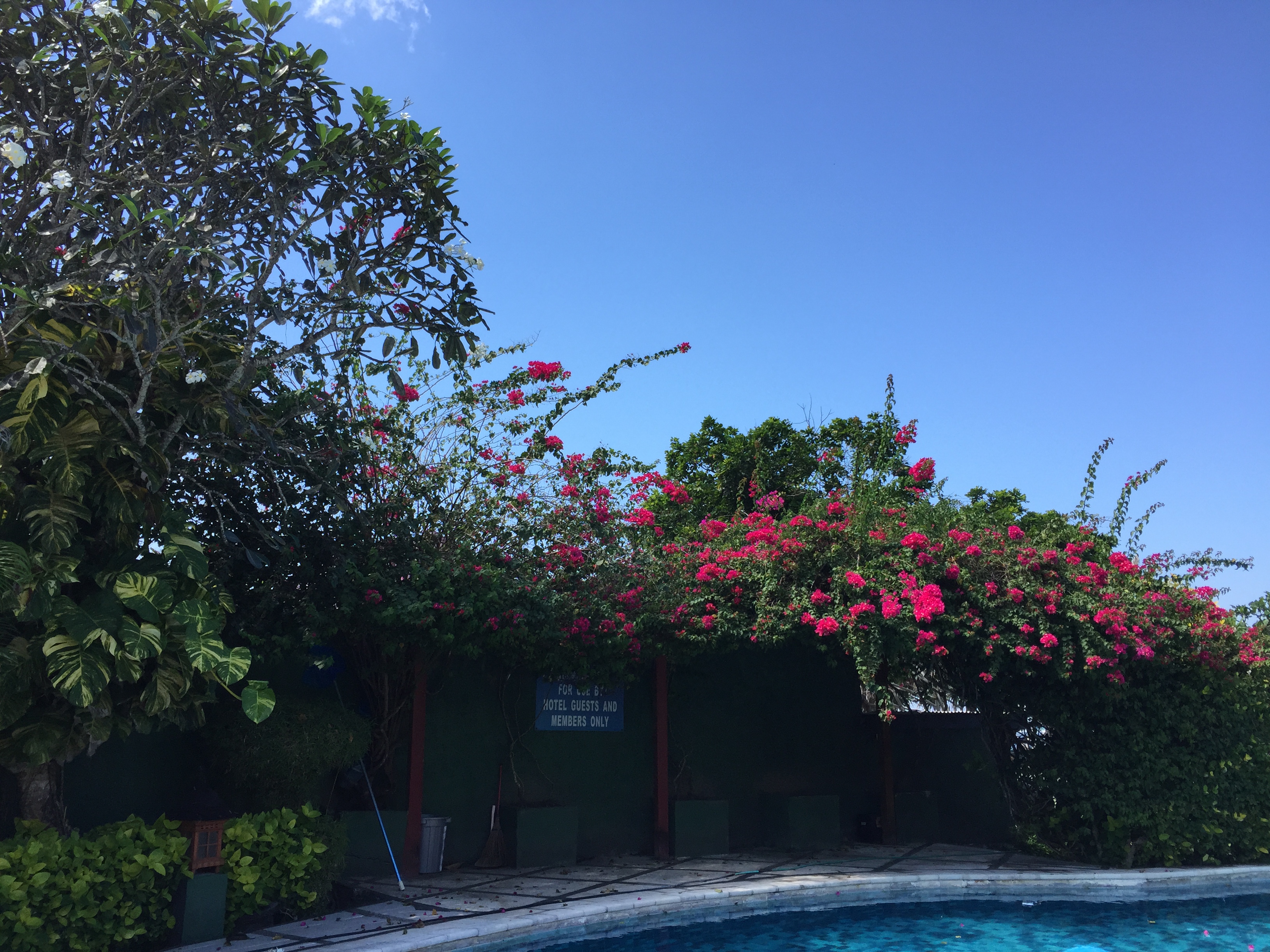 B5261767-C8D4-4405-8DAB-C9BC731905C1