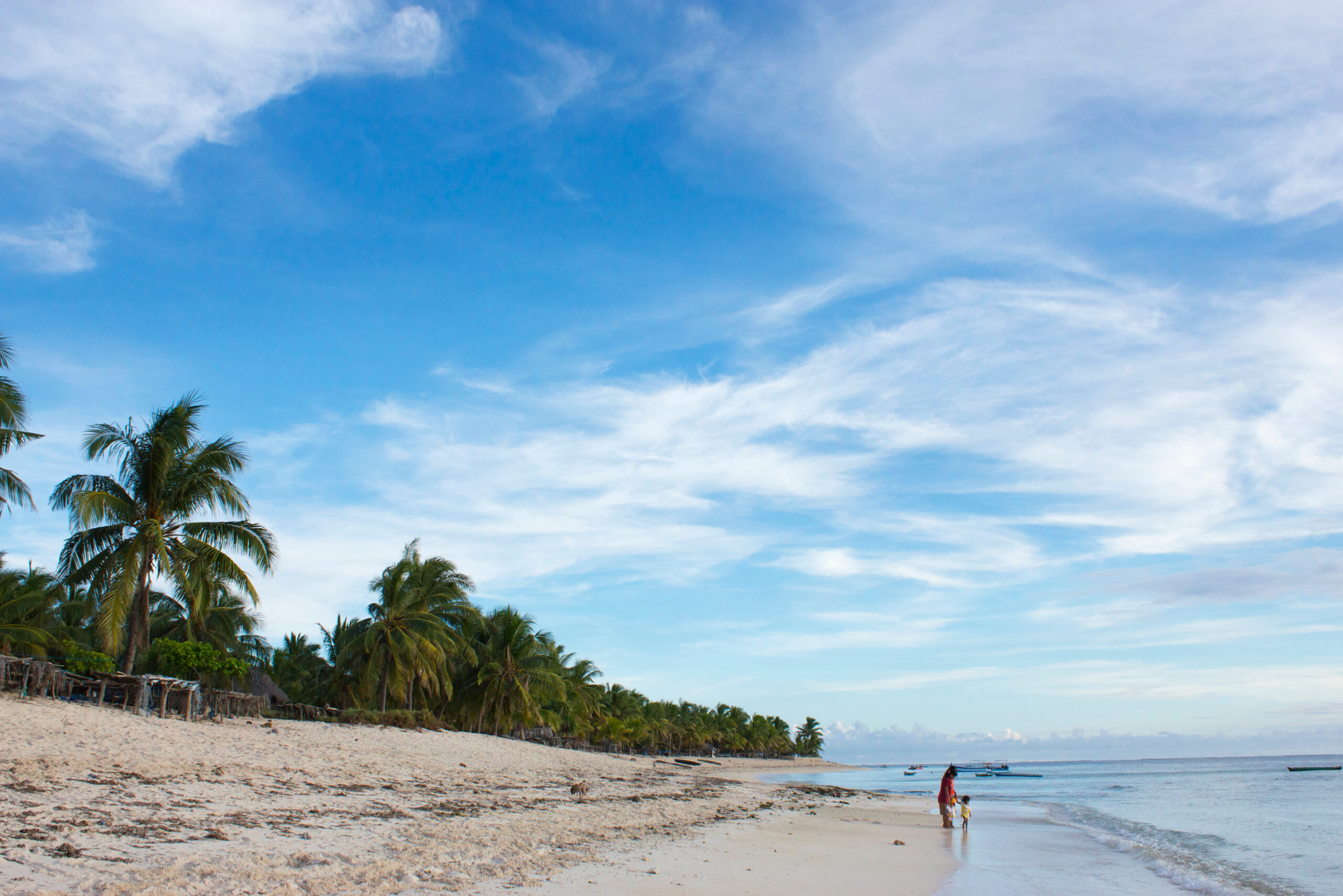 F7205CC3-E9D5-4900-A4A9-0972623DE876