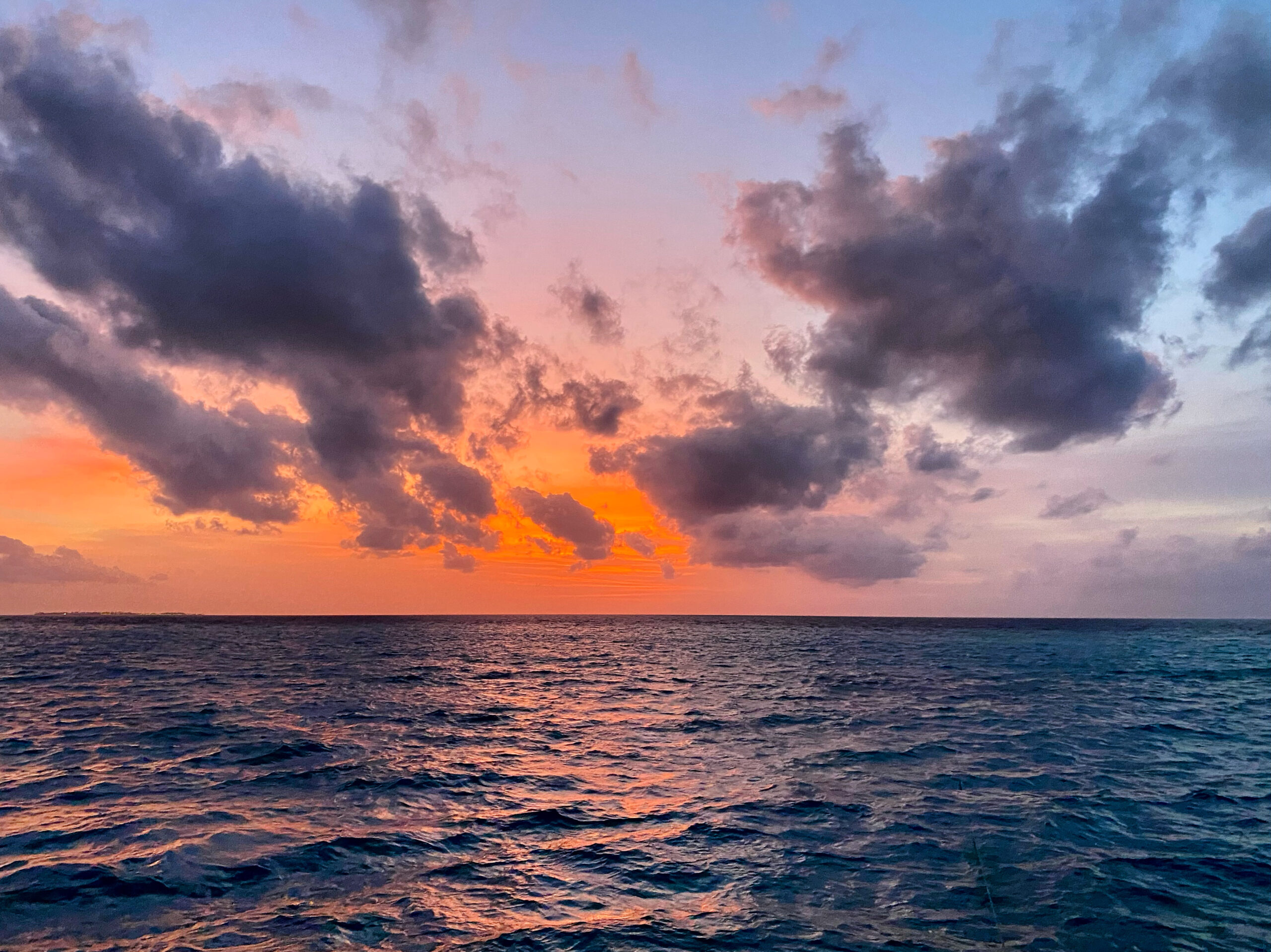 2D9175C8-4C75-4549-99C2-D8FFF5CF1591