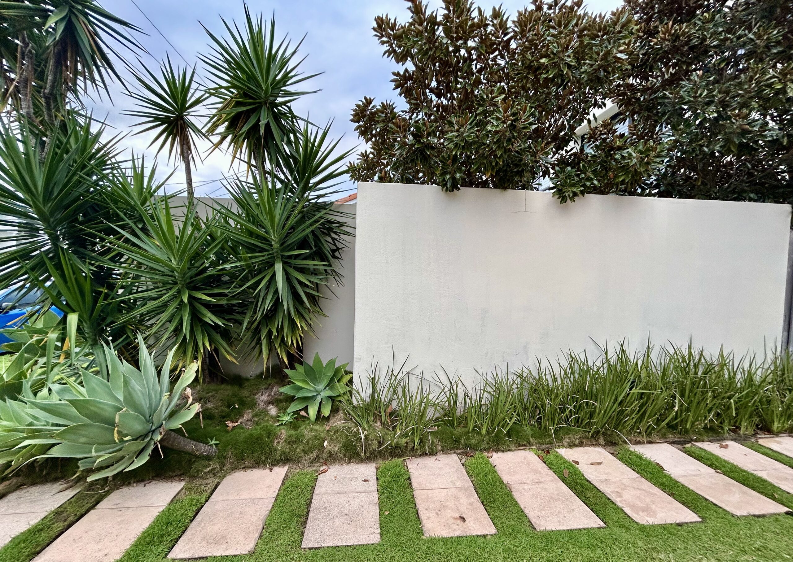 72918C5A-CDC9-45E9-93E1-A8ED34B4AE5A2025-05-14_15-31-36_920