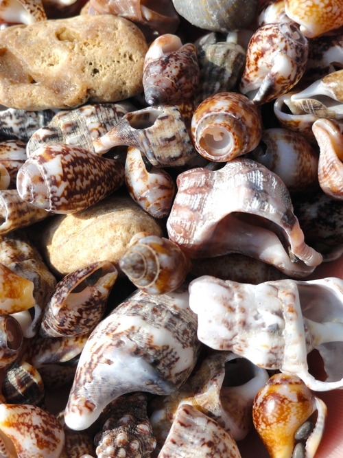 tumblr_mixvfxbQmq1r1kea0o1_500